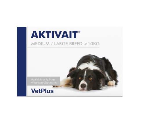[DOG] 액티베이트 중,대형견용 AKTIVAIT MEDIUM &amp; LARGE BREED 60캡슐 복합항산화제,두뇌영양공급,인지력유지