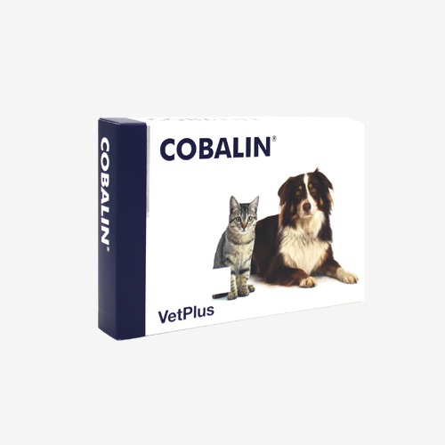 [DOG/CAT] 코발린 COBALIN 60캡슐 코발라민 엽산 보조제